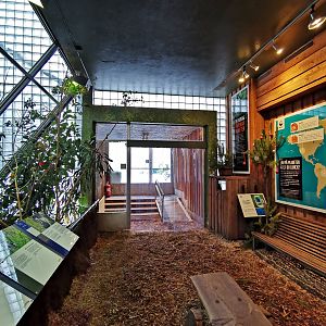 "Vårt afrika" - Guereza indoors