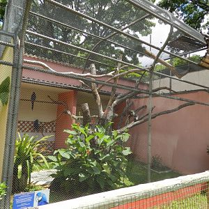 Hyacinth macaw exhibit - Belo Horizonte zoo