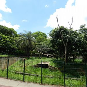 Wooly monkey exhibit - Belo Horizonte zoo