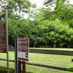 White rhino exhibit and signage - Belo Horizonte zoo
