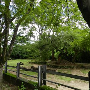 White rhino exhibit - Belo Horizonte zoo