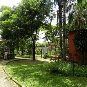 Bird square 2 - Belo Horizonte zoo