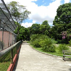Bird square 1 - Belo Horizonte zoo