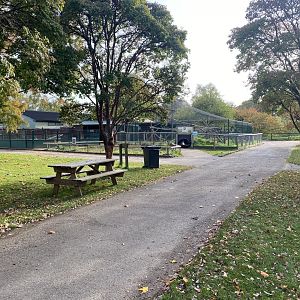 View towards Ring-tailed lemur enclosure 071121