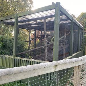 Squirrel monkey enclosure 071121