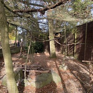 Snowy owl aviary 071121