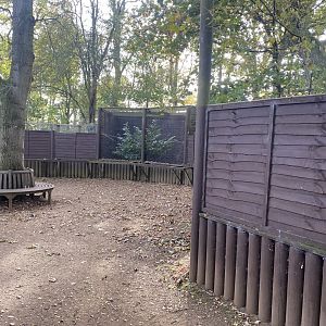 Scottish wildcat area 071121