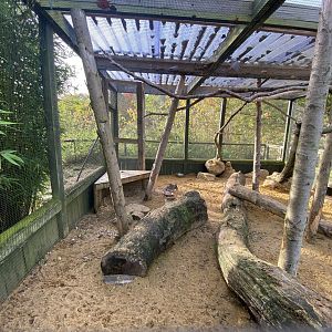 Chacoan mara enclosure 071121