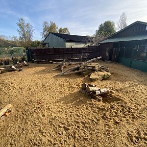 Cape porcupine enclosure 071121