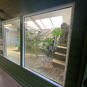 Dwarf crocodile exhibit 071121