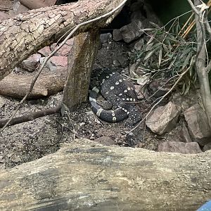 Ornate monitor 071121