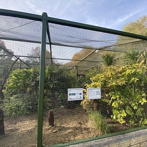 Aviary 071121