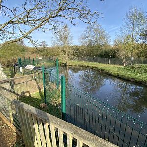 South American tapir and Capybara enclosure 071121
