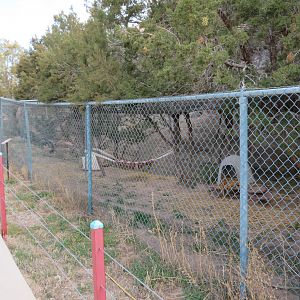 Bobcat Enclosure