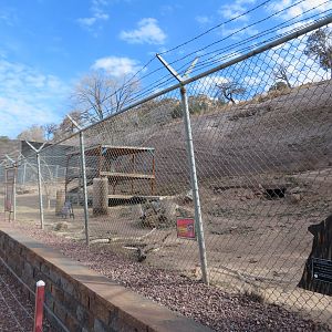Mexican Gray Wolf Enclosure