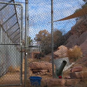 Black Bear Enclosure