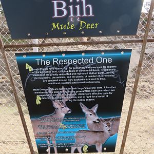Mule Deer Signage