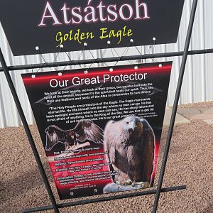 Golden Eagle Signage