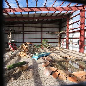 Golden Eagle Aviary