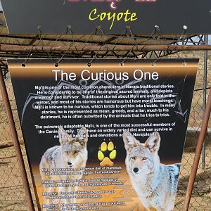 Coyote Signage