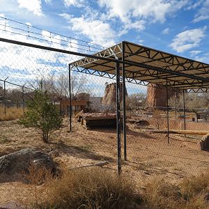 Coyote Enclosure