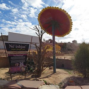 Great Horned Owl Enclosure