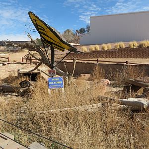 North American Porcupine Enclosure