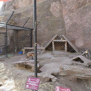 Red Fox Enclosure
