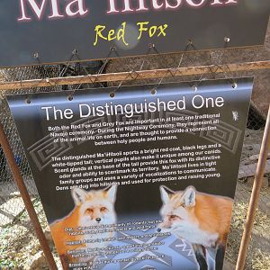 Red Fox Signage