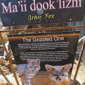 Gray Fox Signage