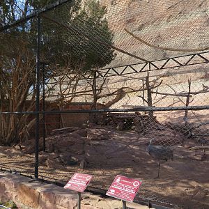 Mixed Species Aviary