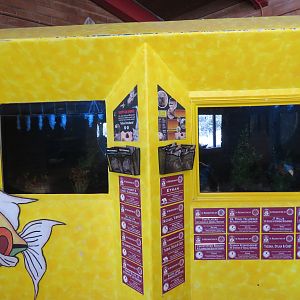 Non-native and Native Fish Tanks