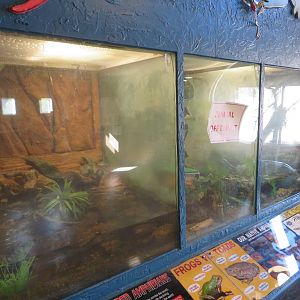 Amphibian Terrariums