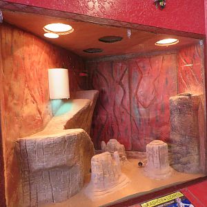 Lizard Enclosure