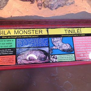 Gila Monster Signage