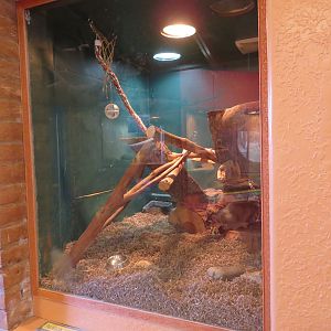 Ringtail Enclosure