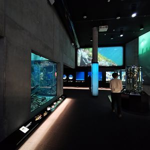 Baltic Sea Science Center - Inside
