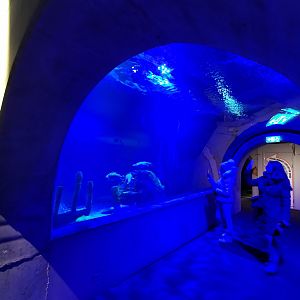 Baltic Sea Science Center - "The predatory fish aquarium"