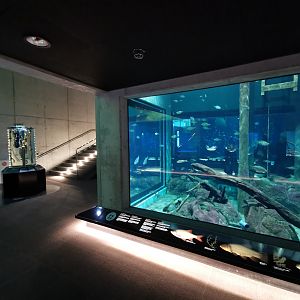 Baltic Sea Science Center - "The jetty aquarium"