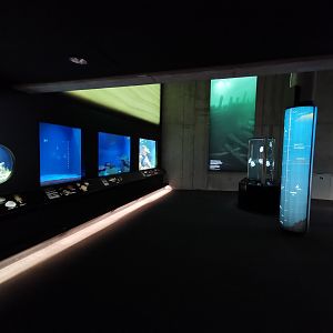 Baltic Sea Science Center - "The habitat aquariums"