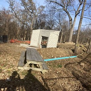 Andean Bear exhibit construction 12/5/21
