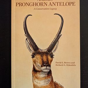 Arizona's Pronghorn Antelope; A Conservation Legacy