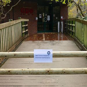 The other side of the Ape House, December 2021