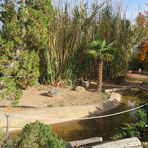 Flamingo/Ibis Lagoon (Back Side)