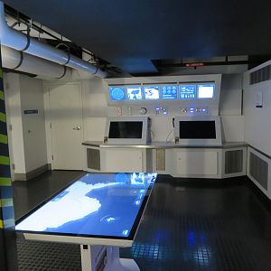 Penguin Chill - Antarctic Research Vessel