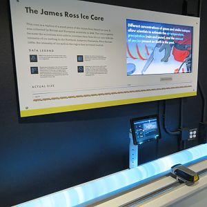 Penguin Chill - Educational Engagement