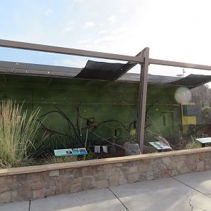 Birds of the Americas Aviary (5 spp)