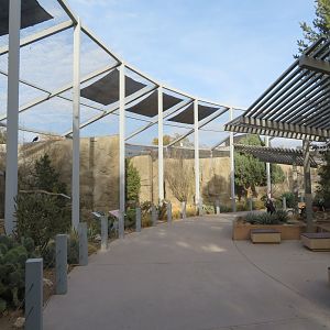 Raptor Aviaries (5 spp)