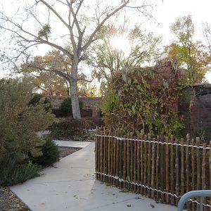 Small Primates Area (Closed for Renovations)