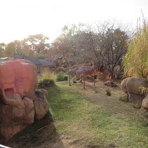 Aldabra Giant Tortoise Enclosure
